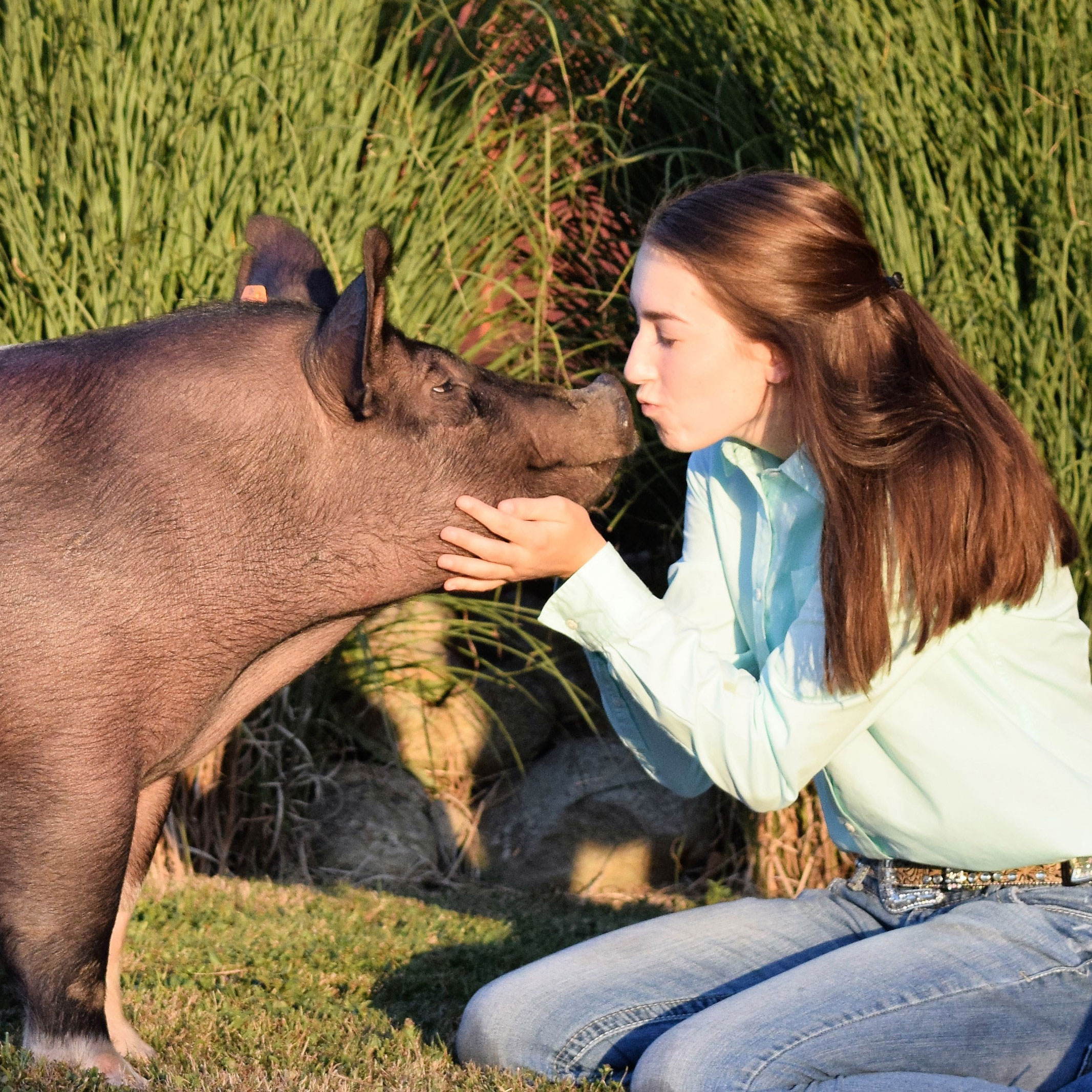 Mobile Website and App Development